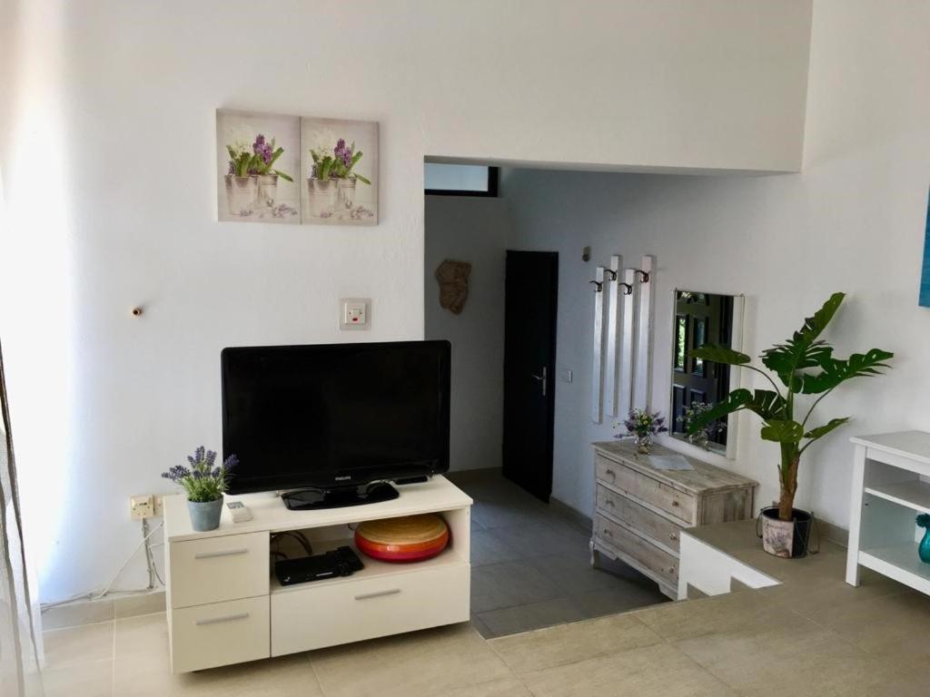Apartment Lavanda Molat Buitenkant foto